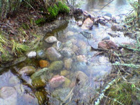 Rinnande vatten 2005 Vihtis